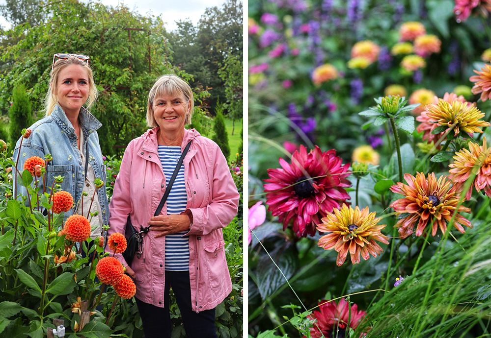 Herlig, inspirerende hagereise til Halland på Sveriges vestkyst